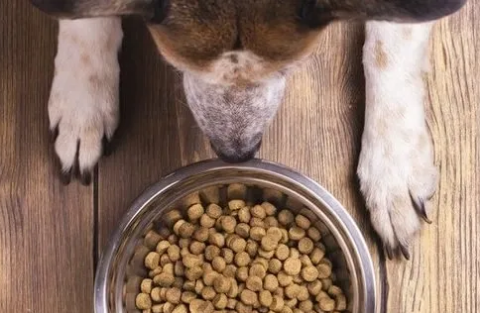 TRICKS OF THE TRADE - DOG FOOD LABELS