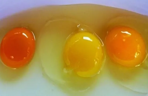 DID YOU KNOW THAT THE COLOUR OF YOUR EGG YOLK IS SIGNIFICANT?