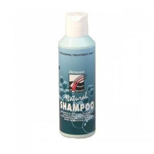 Picture of Dermcare Natural Shampoo 250ml