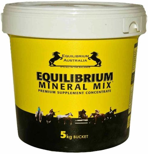 Picture of Equilibrium Yellow 5kg