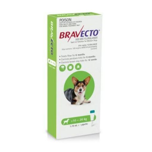 Picture of Bravecto Spot On For Dogs Green 10-20kg 1 Pack