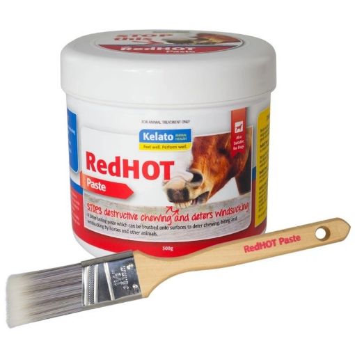 Picture of Red Hot Paste 500g