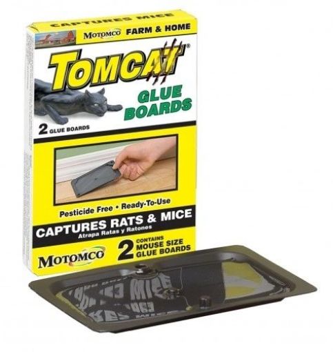 Picture of Tomcat Glue Board Mice 2pkt