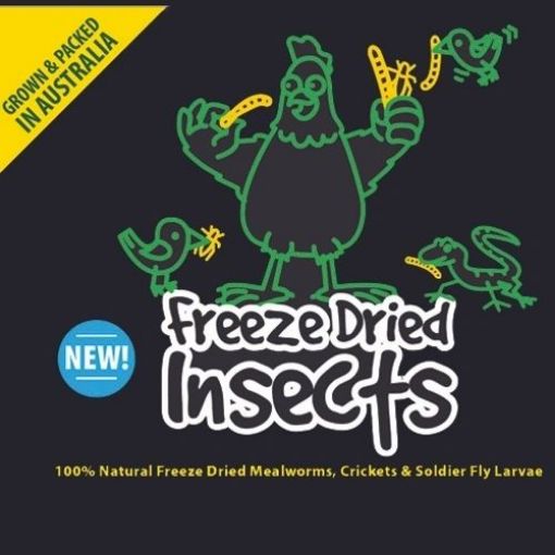 Picture of Freeze Dried Australian Bug Mix 250g