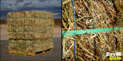 Picture of Meadow Hay Ezy Bales