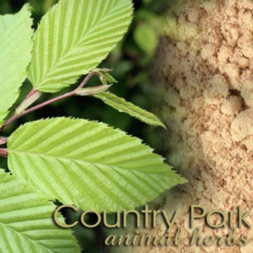 Picture of Slippery Elm Bark Powder 1kg