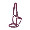 Picture of Rancer Stable Halter -Cob