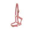 Picture of Rancher Nylon Foal Halter with Buckles