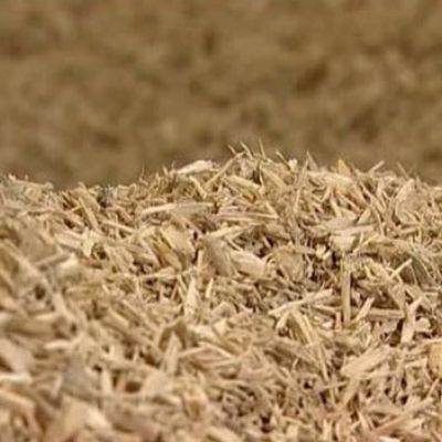 Picture for category Bedding