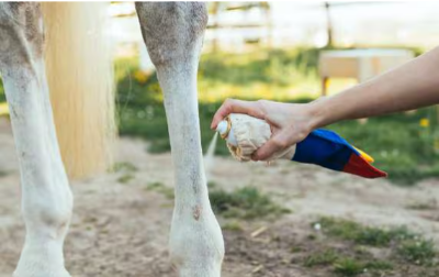 Picture for category Other First Aid