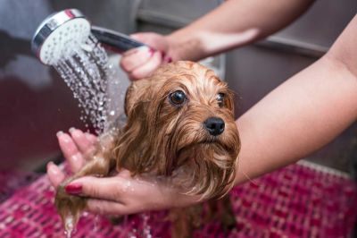 Picture for category Medical Coat Care