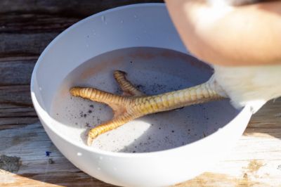 Picture for category Health