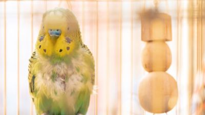 Picture for category Health