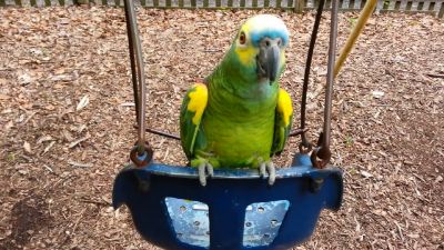 Picture for category Other Supplies