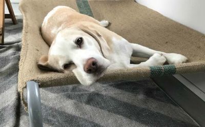 Picture for category Beds