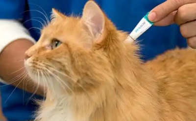 Picture for category Health