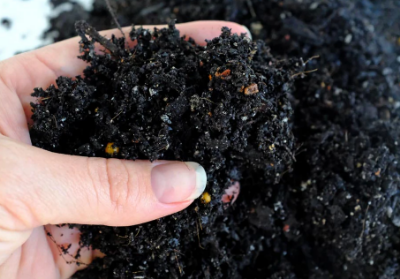 Picture for category Potting Mixes