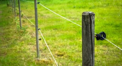 Picture for category Electric Fencing