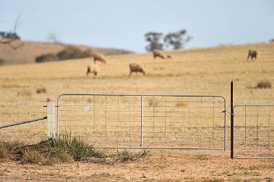 Picture for category Gates