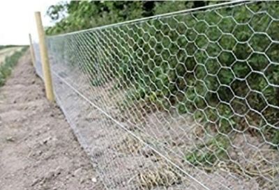 Picture for category Wire Netting