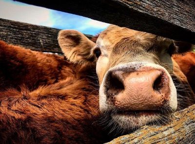 Picture for category Health