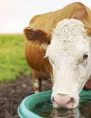 Picture for category Troughs