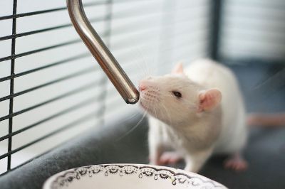 Picture for category Other Supplies