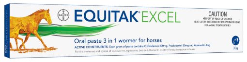 Picture of Equitak Excel Paste