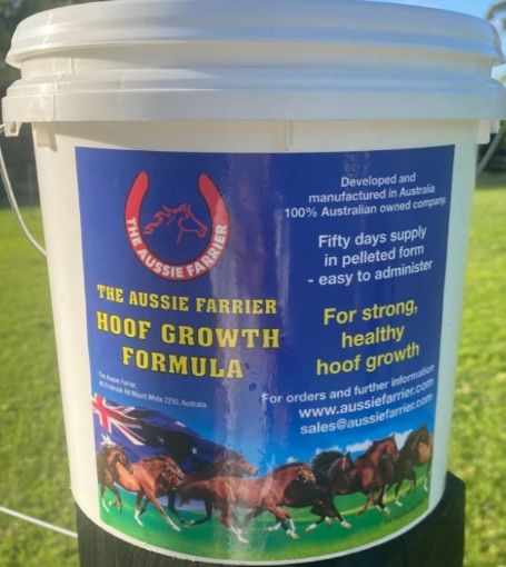 Picture of Aussie Farrier Hoof Growth