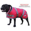 Picture of Zeez Dog Coat Navy/Red