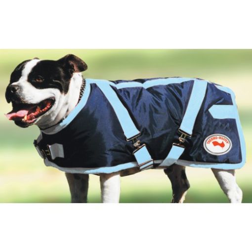 Picture of Dog Coat Navy/ Baby Blue