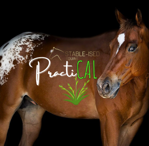 Picture of Stable-ised Equine PractiCal