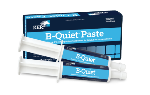 Picture of KER B-Quiet Paste Twin Pack